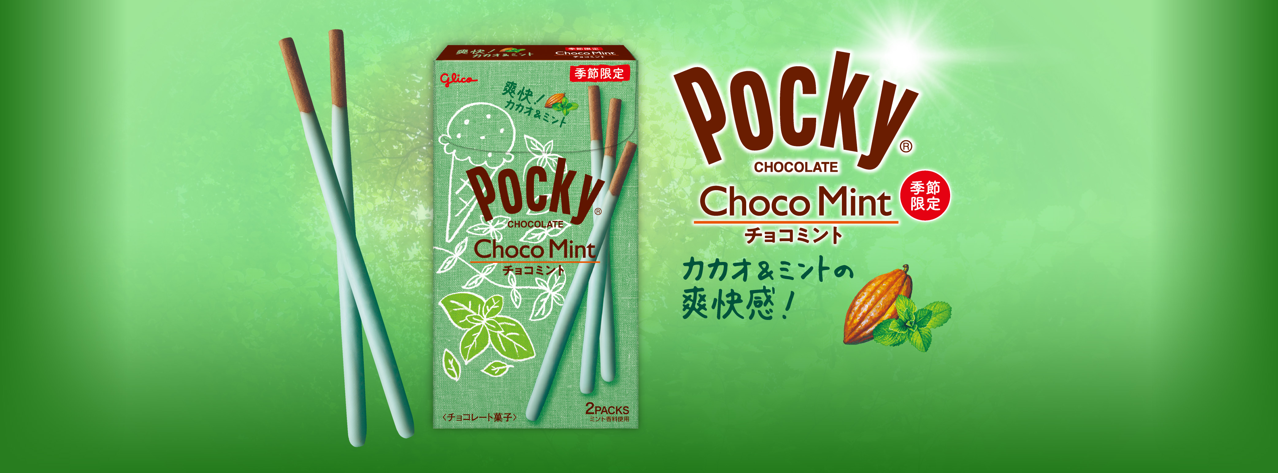 Choco Mint