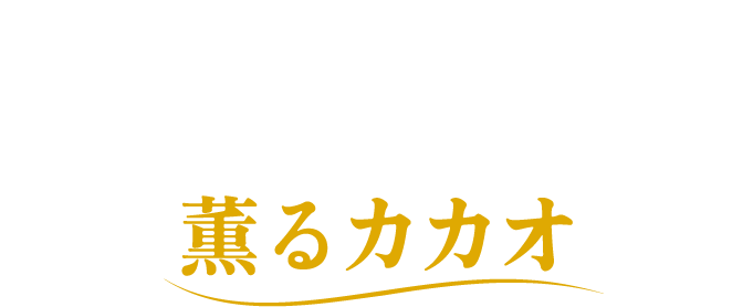 ポッキー
                    2層仕立て＜薫るカカオ＞
